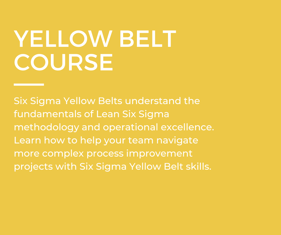 Yellow Belt Certification - Instructor-Led Online - Image 2