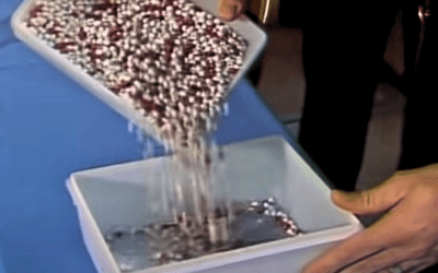 Red Bead Experiment