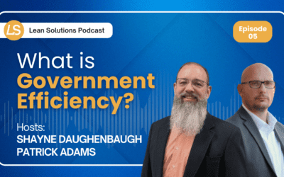What is Government Efficiency?