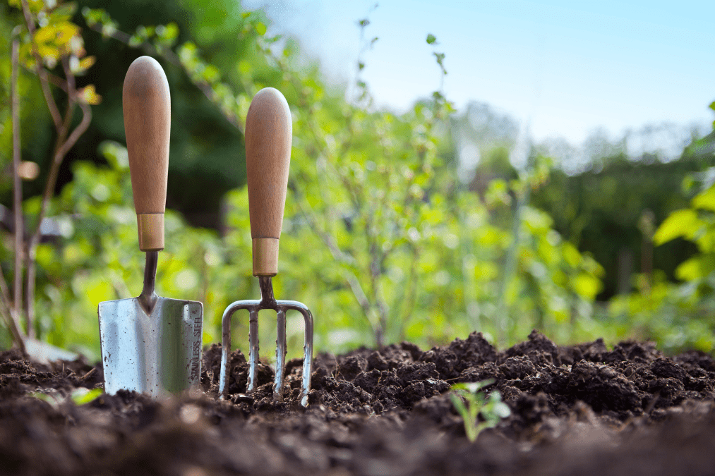 Are Your Leaders Creating an Environment for Team Members to Grow?